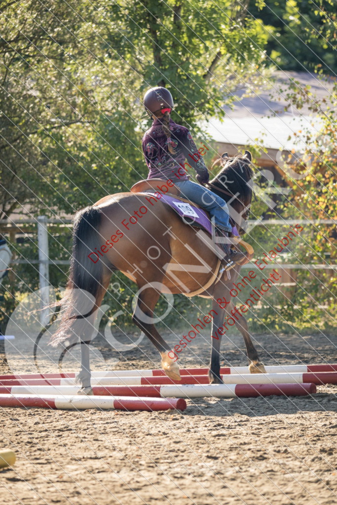IMG_6424 | Sport-, Event- und Tierfotos in Profiqualität. Einfach auswählen, bestellen und herunterladen. Dein Moment – perfekt festgehalten.