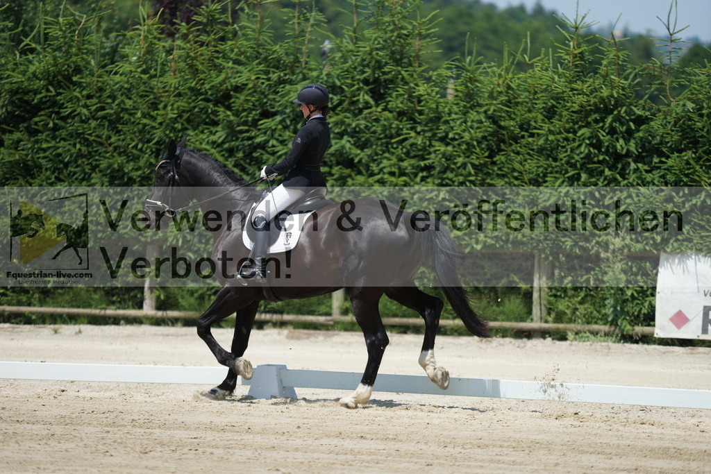 DSC04845 | equestrian-live-com