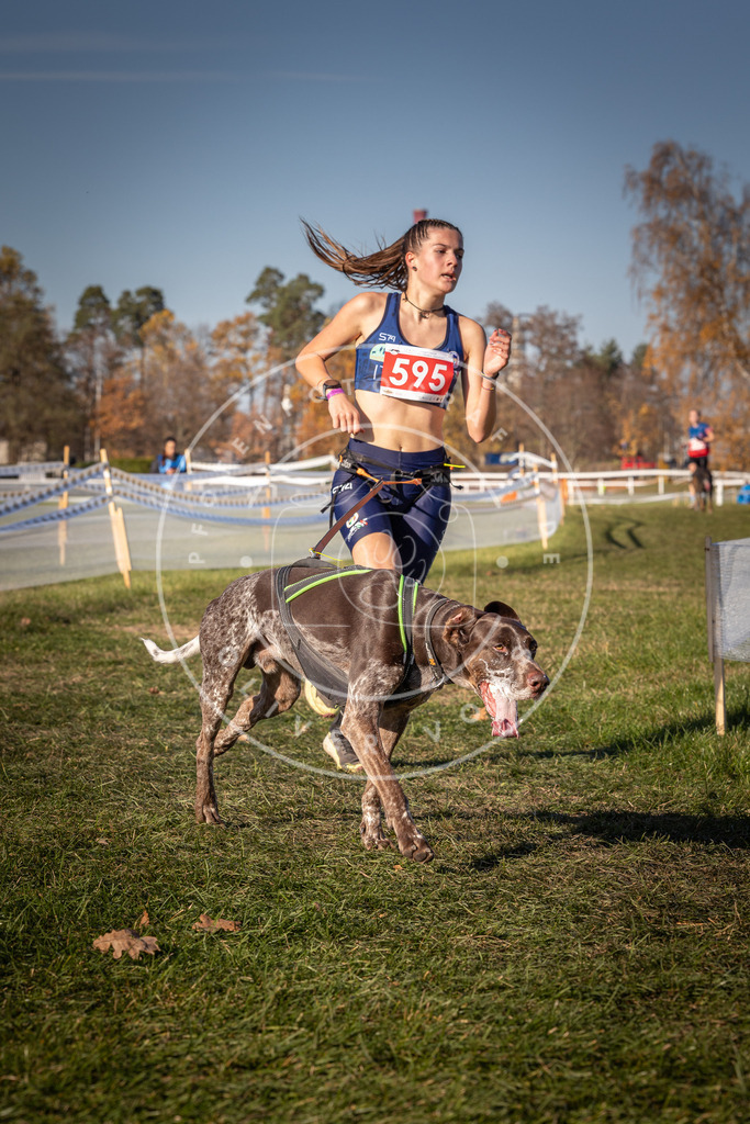 CaniXpix_0L8A8429 | Hundefotografie, Tierfotograf, Pfotenfotografie, Fotoshooting Hund, Hunde Portrait, Hundesport, Hundeportraits, Heideshooting, Hunde, Sportfotograf, Hundefotograf, Turnierhundsport, THS,  - Realisiert mit Pictrs.com