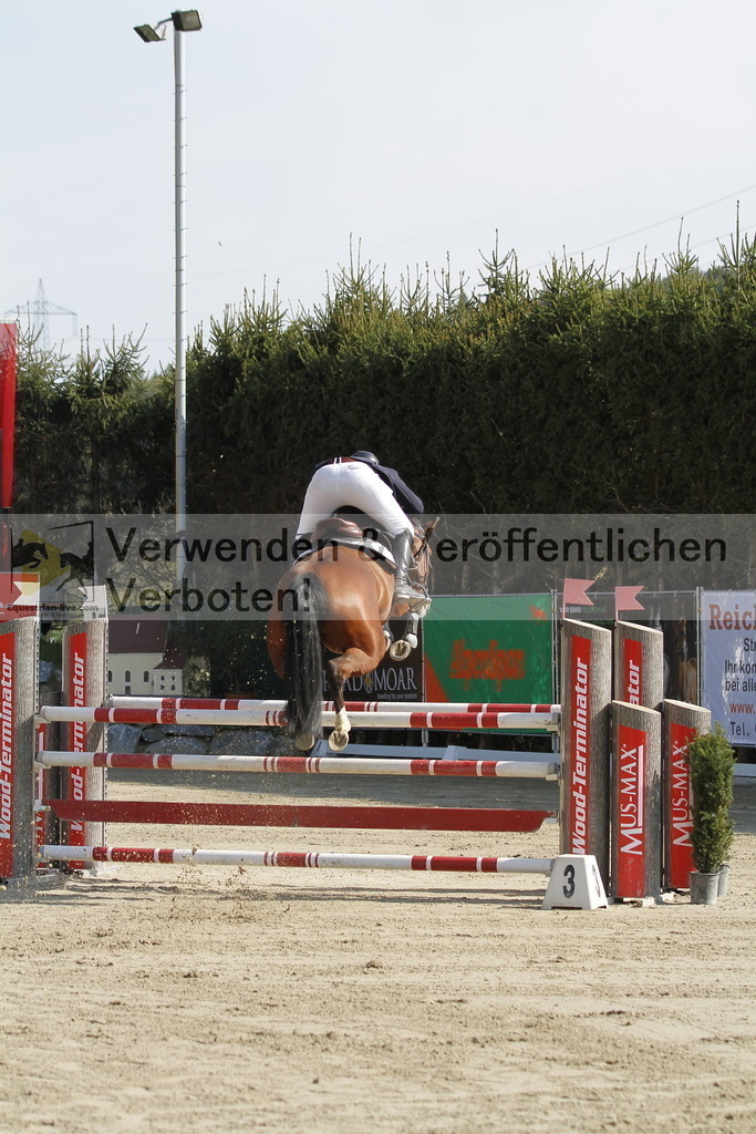 _MG_9135 | equestrian-live-com