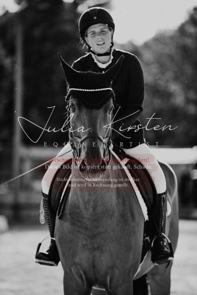 DSC_0697 | Pferde- und Turnierfotografie in Westsachsen. Pferdeportraits, Auftragszeichnungen und intuitive Kunst.