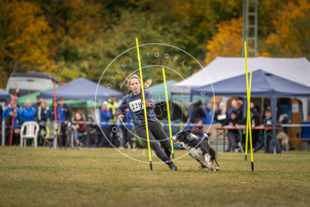 Pfotenfotografie_DV3A4055 | Hundefotografie, Tierfotograf, Pfotenfotografie, Fotoshooting Hund, Hunde Portrait, Hundesport, Hundeportraits, Heideshooting, Hunde, Sportfotograf, Hundefotograf, Turnierhundsport, THS,  - Realisiert mit Pictrs.com
