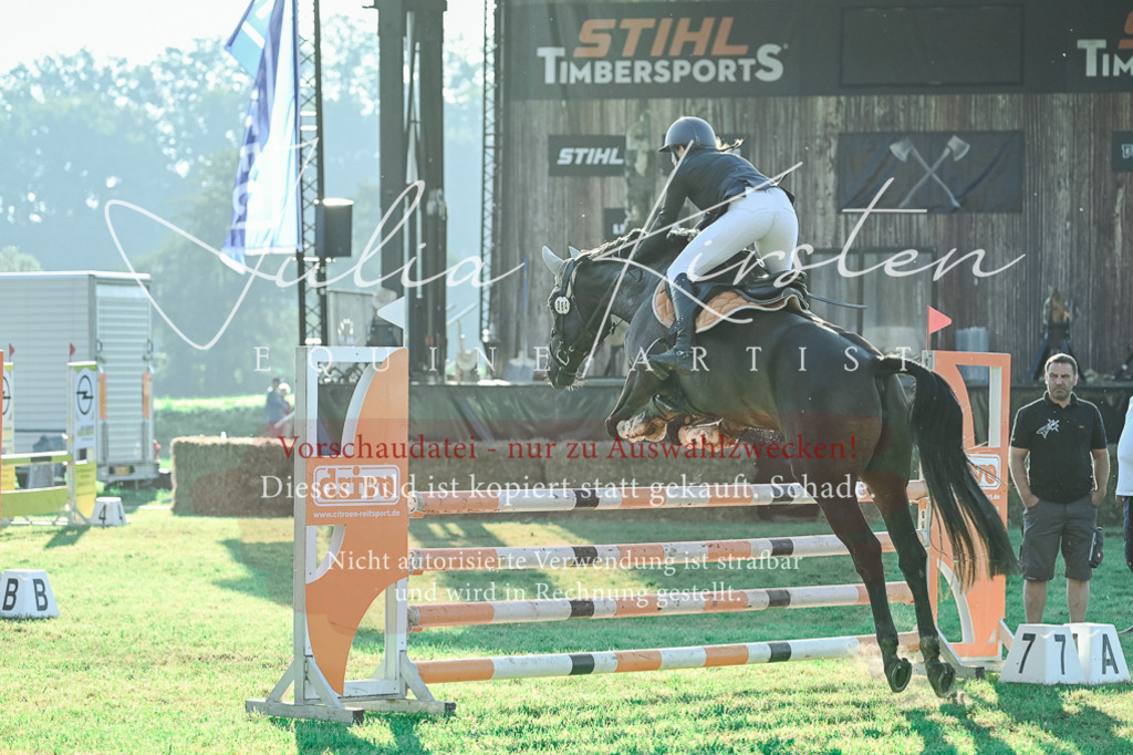 DSC_4441 | Pferde- und Turnierfotografie in Westsachsen. Pferdeportraits, Auftragszeichnungen und intuitive Kunst.