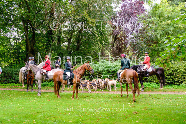 Jagd Perdoel 26 Fuji-9856_MarinaHewig | Fotografie, FotoArt, PferdesportArt, Pferdesportfotografie, Landschaftsfotografie, Reisefotografie, Reise, Pferde - Realisiert mit Pictrs.com