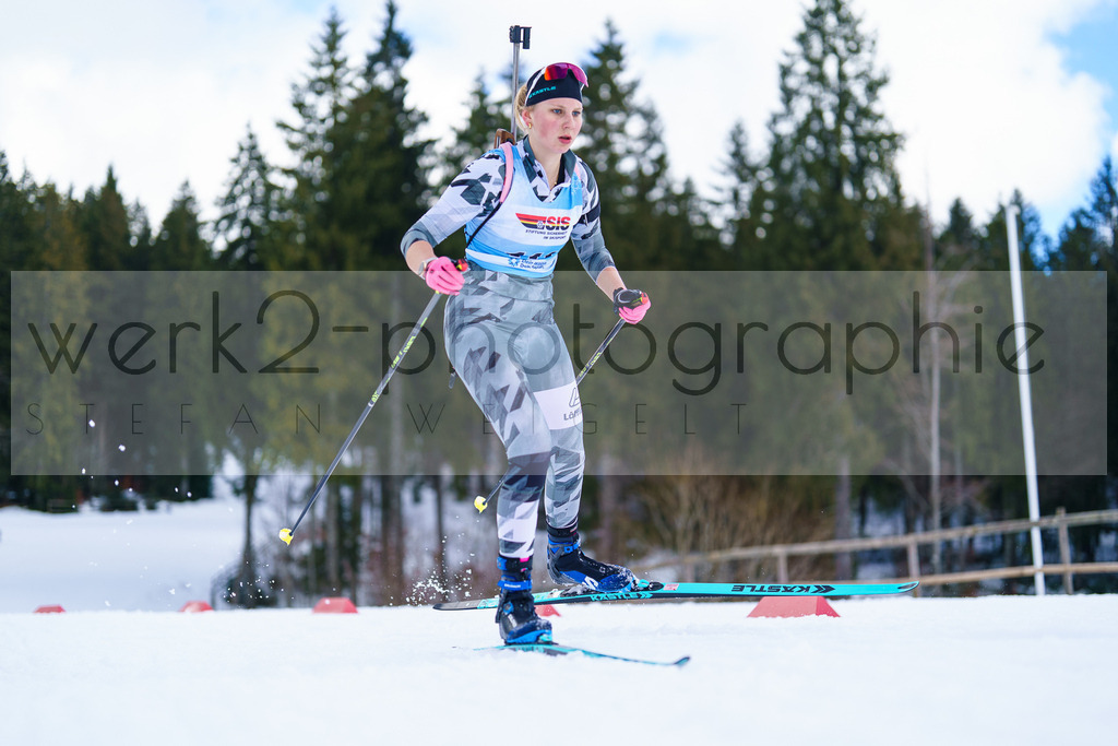 FESA Alpencup / DP Notschrei | Deutschland Pokal Finale im Schwarzwald NORDIC-CENTER Notschrei am 7. - 8. Februar 2026