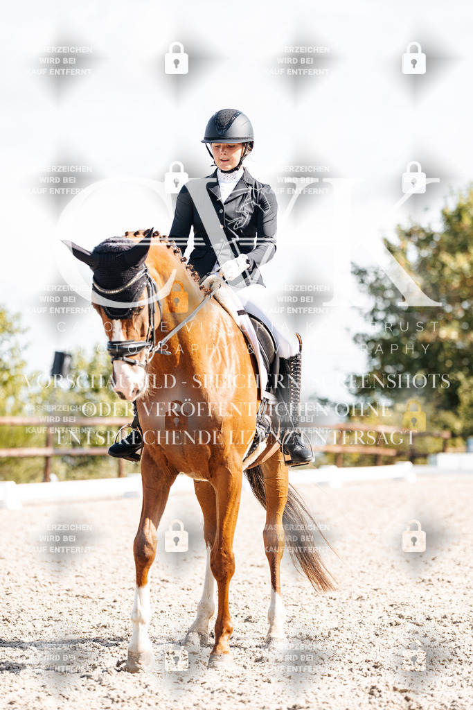 CK902252 | Turnierfotografie Pferdefotografie Trier Rheinland-Pfalz Pferdesport Reitsport Tierfotografie Sportfotografie Pferdevideo Pferdevideografie Equestrianvideography equestrianphotography  - Realisiert mit Pictrs.com