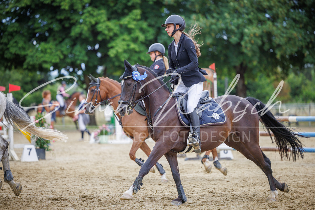 20260705-_3LI5713 | Tierfotografie Pferde, Hunde, Katzen, Haustiere.
Turnierfotografie Reitturniere, Reiten, Springreiten, Dressur in Hanau, dem Main-Kinzig-Kreis und dem Rhein-Main- Gebiet um Frankfurt