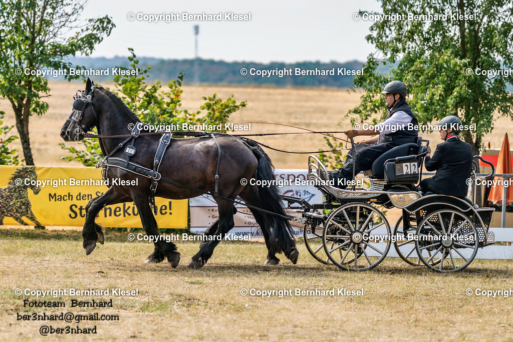 2A902497 | foto-team-bernhard - Realisiert mit Pictrs.com