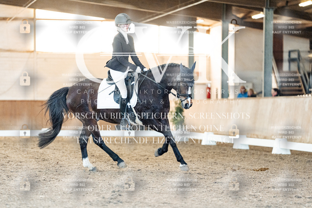 CK906981 | Turnierfotografie Pferdefotografie Trier Rheinland-Pfalz Pferdesport Reitsport Tierfotografie Sportfotografie Pferdevideo Pferdevideografie Equestrianvideography equestrianphotography  - Realized with Pictrs.com