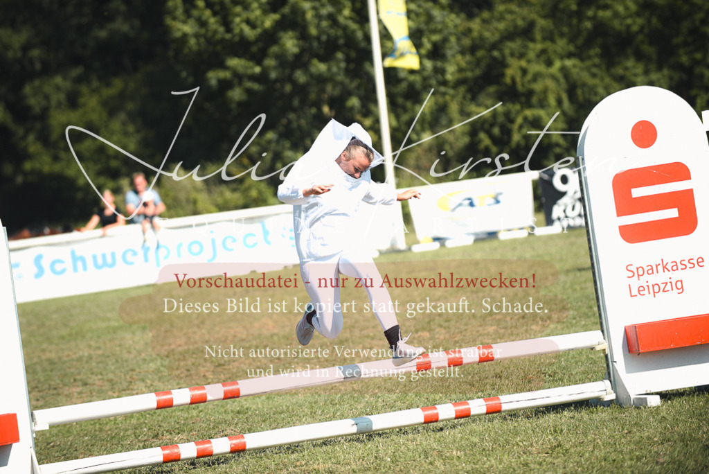 DSC_7687 | Pferde- und Turnierfotografie in Westsachsen. Pferdeportraits, Auftragszeichnungen und intuitive Kunst.