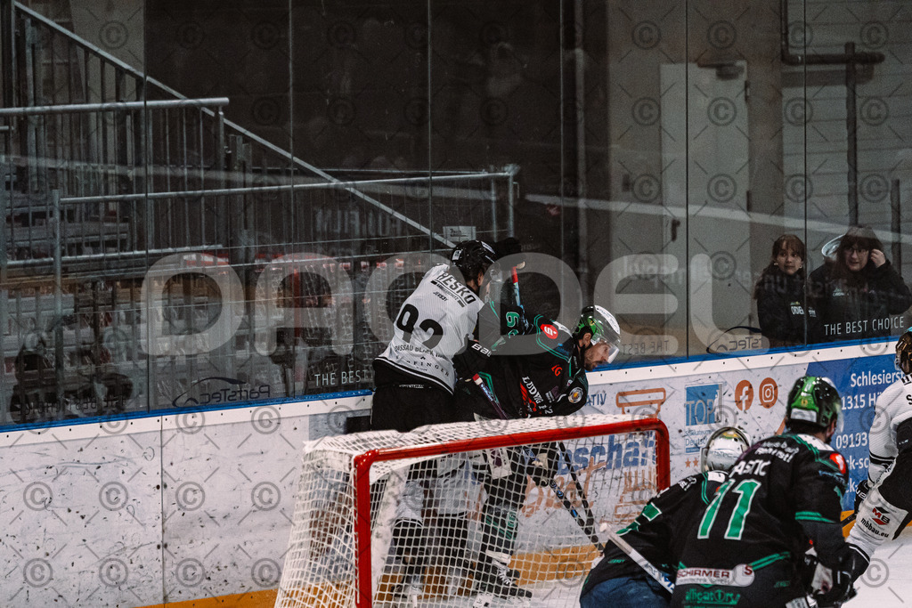 Alligators_vs_Passau_26_12_2025-036 | Höchstadt Alligators Fotogalerie: Eishockey-Action aus Franken. Professionelle Spielfotos, Portraits & Stadionbilder zum Download. Jetzt entdecken! - Realisiert mit Pictrs.com