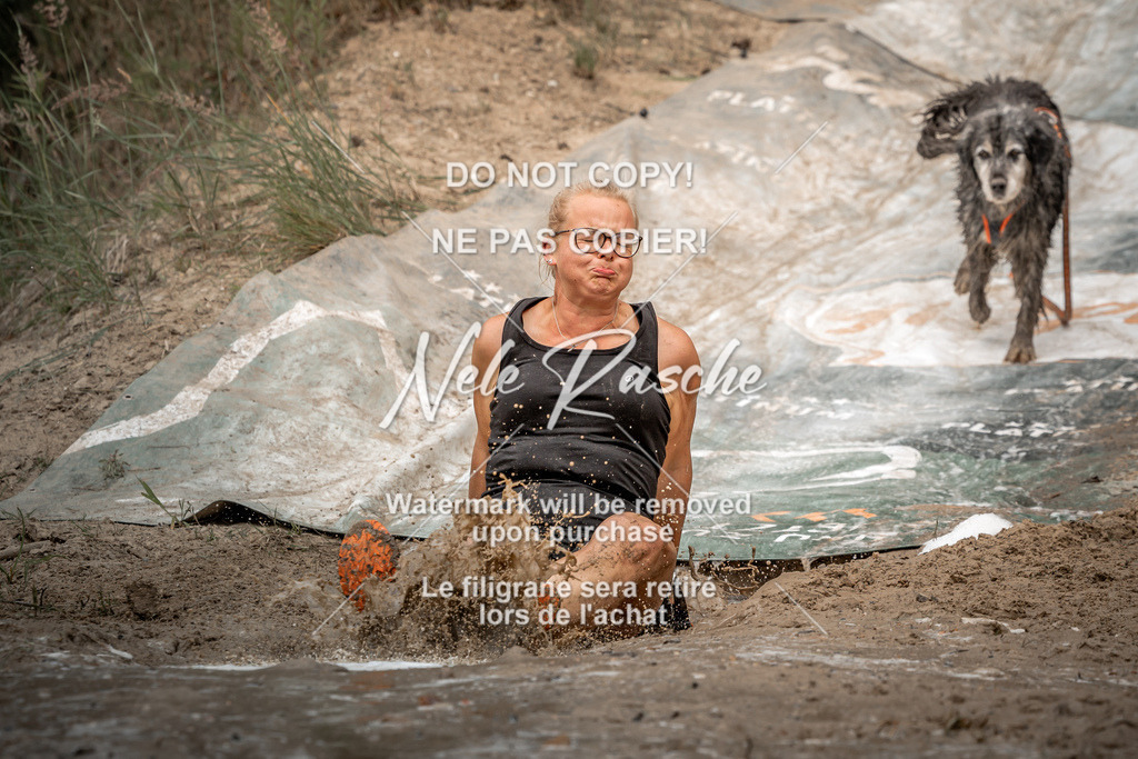 nelerasche_sa1230-1300_236 | nelerasche