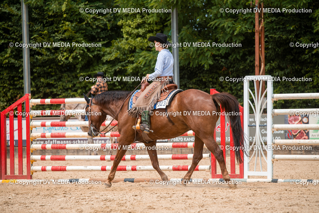 EWP_6428 | dv-media-shop - Realisiert mit Pictrs.com