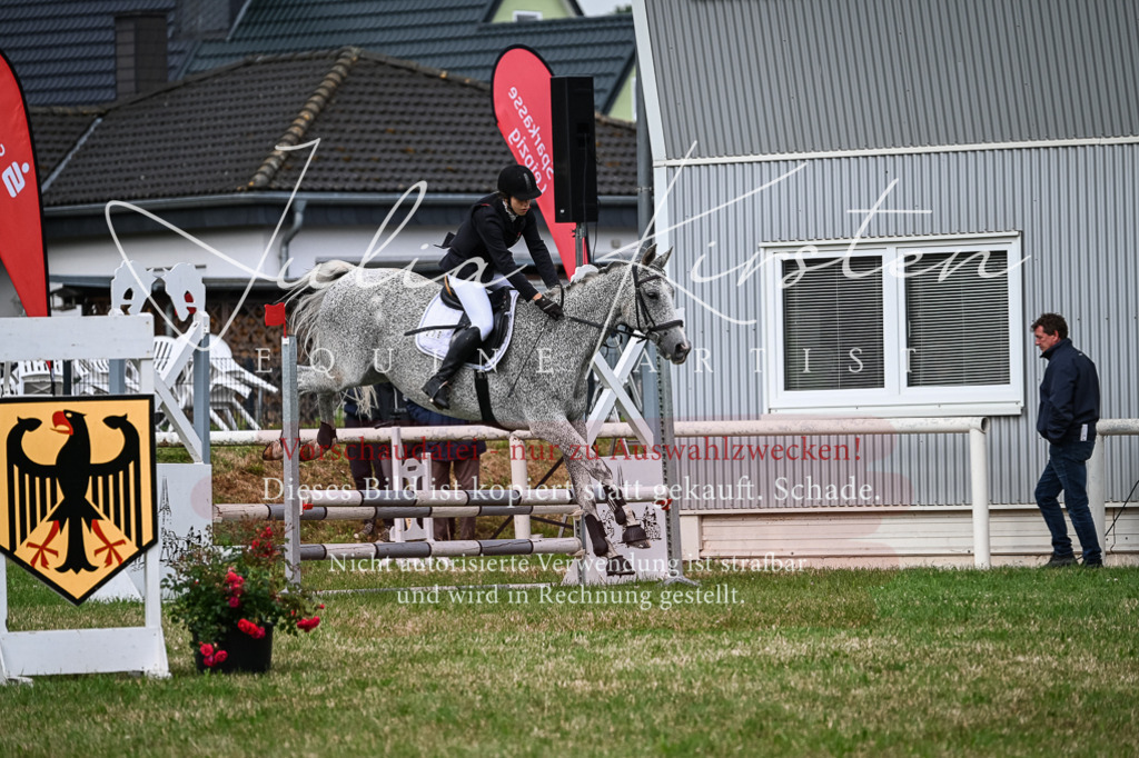 DSC_8333 | Pferde- und Turnierfotografie in Westsachsen. Pferdeportraits, Auftragszeichnungen und intuitive Kunst.