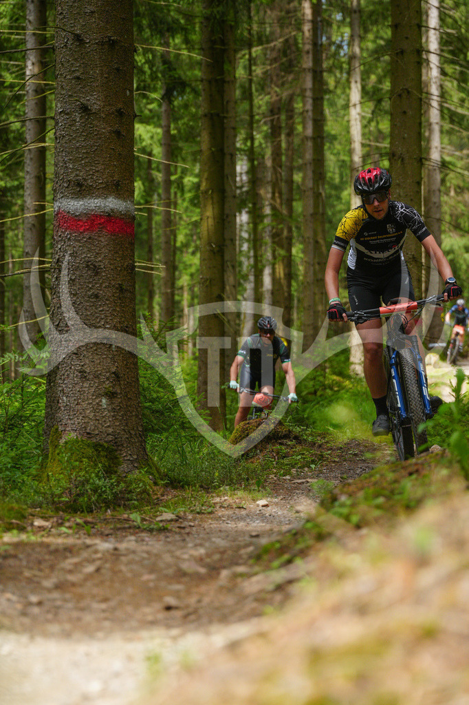 FC603728 | Fotogalerie der Treibjagd im Dunkelwald - Dein MTB Etappenrennen im Erzgebirge - Realisiert mit Pictrs.com
