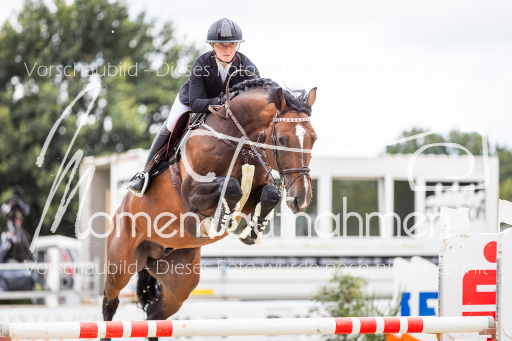 BHO-2PhSpr-M-5-2318 | MomenTaufnahmen Pferdesportfotos