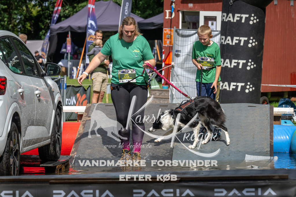 1447_ZZ92488 | kk-dogfotos