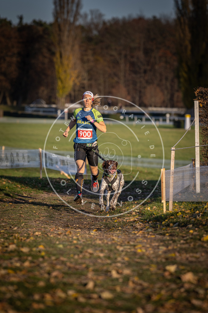 CaniXpix_DV3A3917 | Hundefotografie, Tierfotograf, Pfotenfotografie, Fotoshooting Hund, Hunde Portrait, Hundesport, Hundeportraits, Heideshooting, Hunde, Sportfotograf, Hundefotograf, Turnierhundsport, THS,  - Realisiert mit Pictrs.com