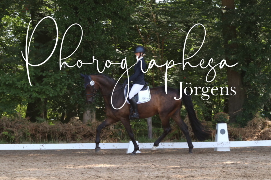 IMG_0574 | photographesa-joergens - Realisiert mit Pictrs.com