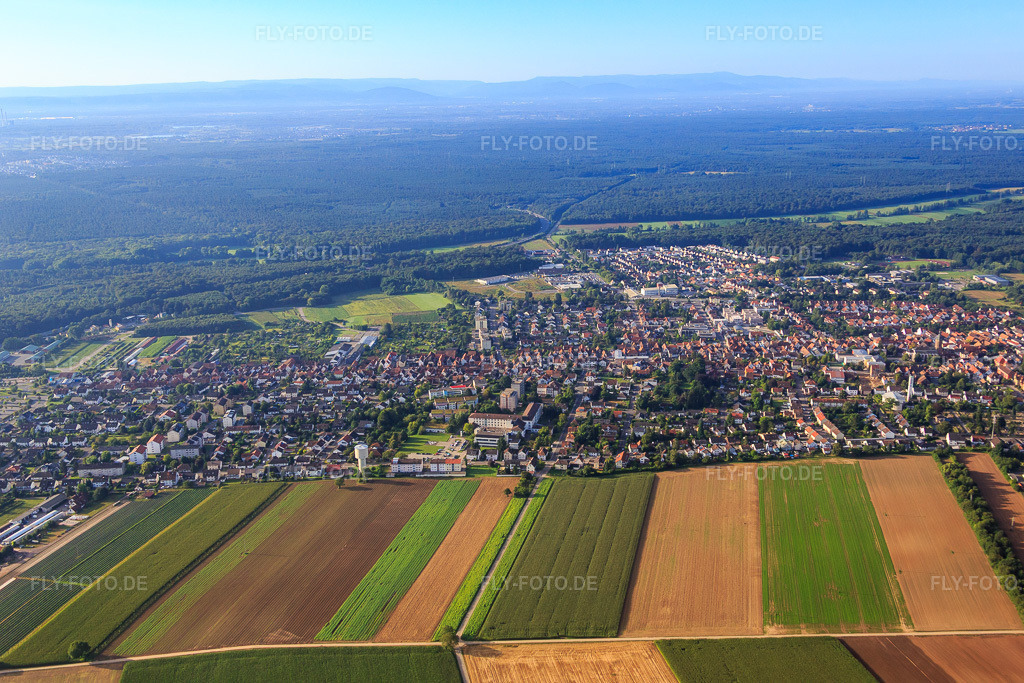Luftbild: Stadtansicht aus Norden Am Wasserturm in Kandel im Bundesland Rheinland-Pfalz in Deutschland. Foto: IMG_092838.jpg vom 13.08.2016 durch Werner Riehm/FLY-FOTO.de