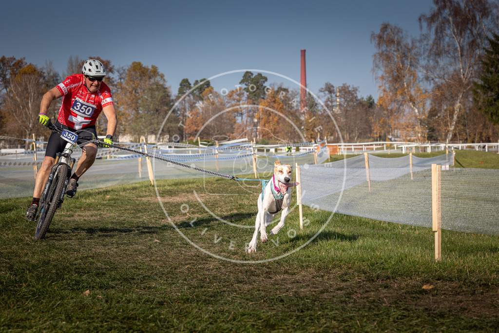 CaniXpix_0L8A7667 | Hundefotografie, Tierfotograf, Pfotenfotografie, Fotoshooting Hund, Hunde Portrait, Hundesport, Hundeportraits, Heideshooting, Hunde, Sportfotograf, Hundefotograf, Turnierhundsport, THS,  - Realisiert mit Pictrs.com
