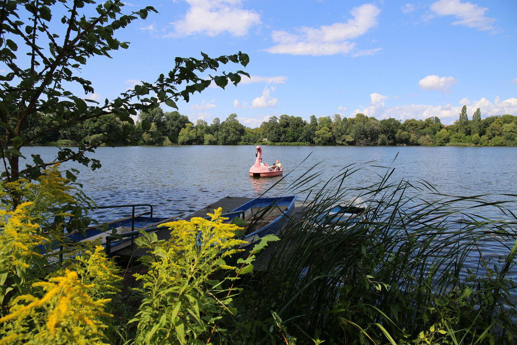 Foto: Leipzig - Auensee | Das Team hinter BILDLEXIKON LEIPZIG bündelt historische wie aktuelle Informationen über die Stadt Leipzig in Text und Bild auf einer Plattform und stellt diese der interessierten Öffentlichkeit zur Verfügung.