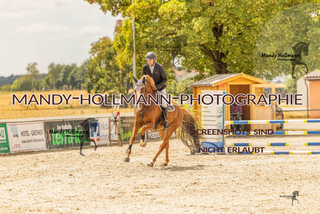 26-7-23 SPR A++-363 | mandyhollmannphotographie