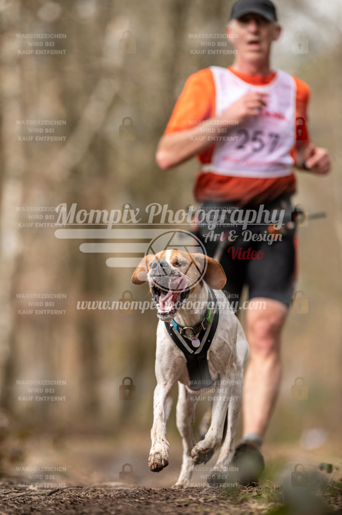 SPA_2023_SAM_CCK-17 | PayLife