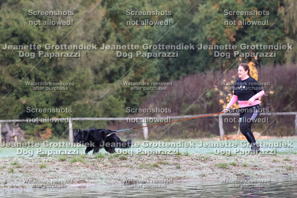 Dog Paparazzi - Strongdog 10-25-6388 | Dog Paparazzi Jeanette Grottendiek Fotografie & Videografie - Realisiert mit Pictrs.com