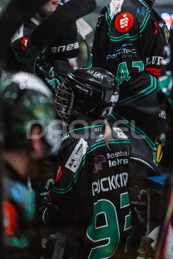 Alligators_vs_Fuessen_01_03_2026_PP-6 | Höchstadt Alligators Fotogalerie: Eishockey-Action aus Franken. Professionelle Spielfotos, Portraits & Stadionbilder zum Download. Jetzt entdecken! - Realisiert mit Pictrs.com