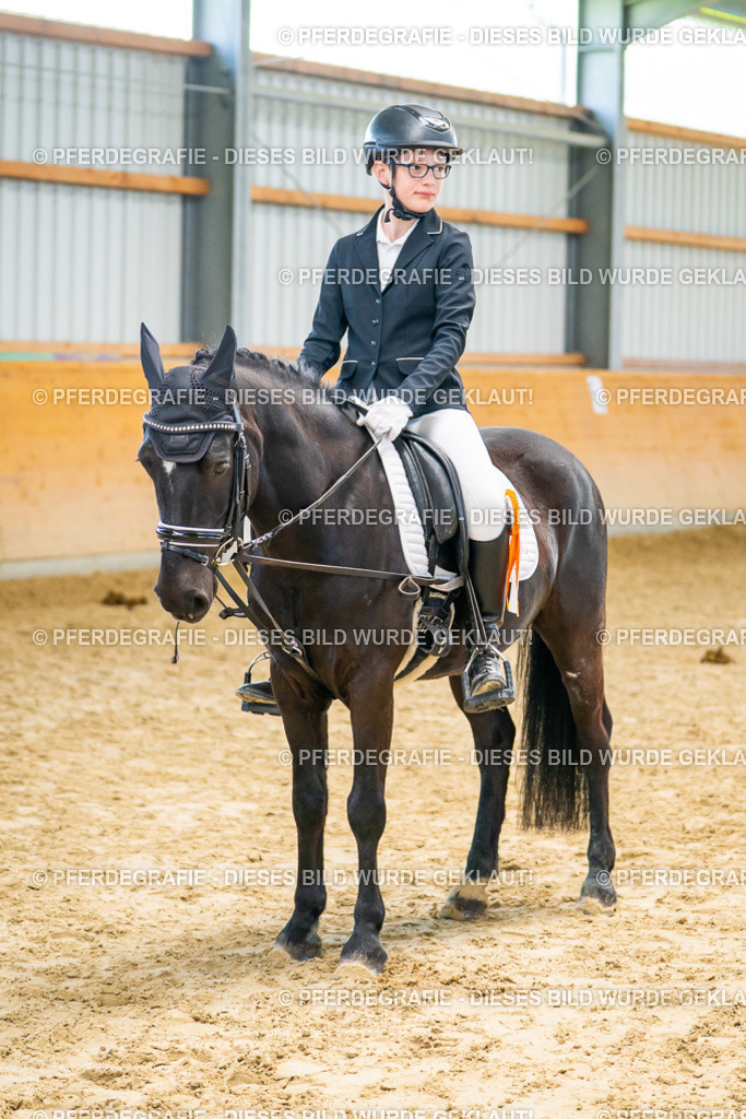 DSC01467 | Pferdegrafie