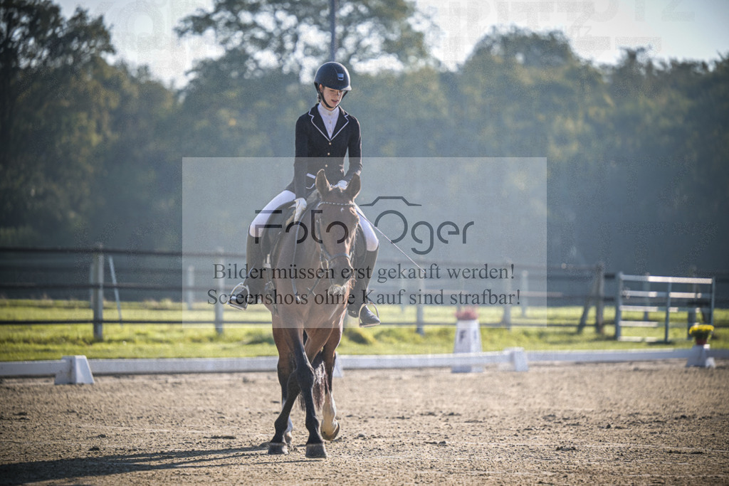 DOS_0337 | Entdecke hochwertige Reitturnierfotos von Foto Oger. Professionell, emotional und authentisch – jetzt Lieblingsmomente im Shop bestellen.Deutschlandweite Turnierfotografie. - Realisiert mit Pictrs.com