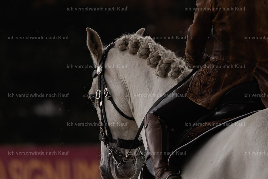 WE_DR_Stoib_347_PI2025_213 | Pferd International München 2025