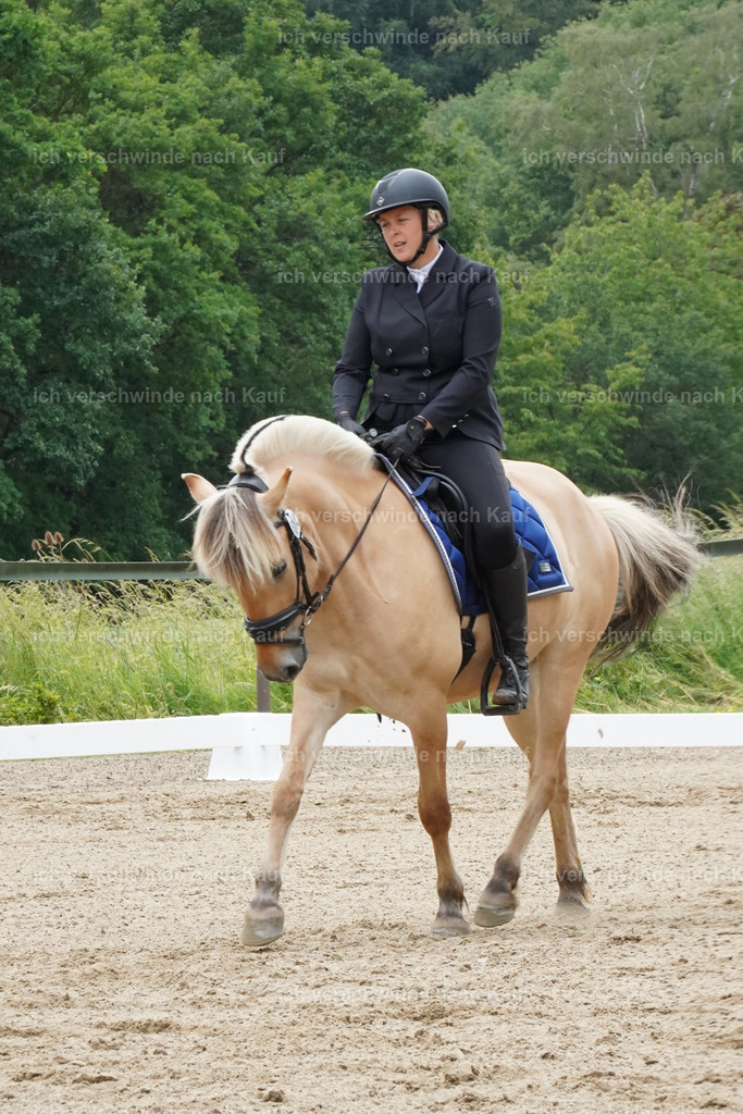 KlasseE_Lucie507 | working equitationturnier fotograf videograf stoibphotography marixx film working equitation deutschland reitsport turnierfotografie eventfotografie equestrian events