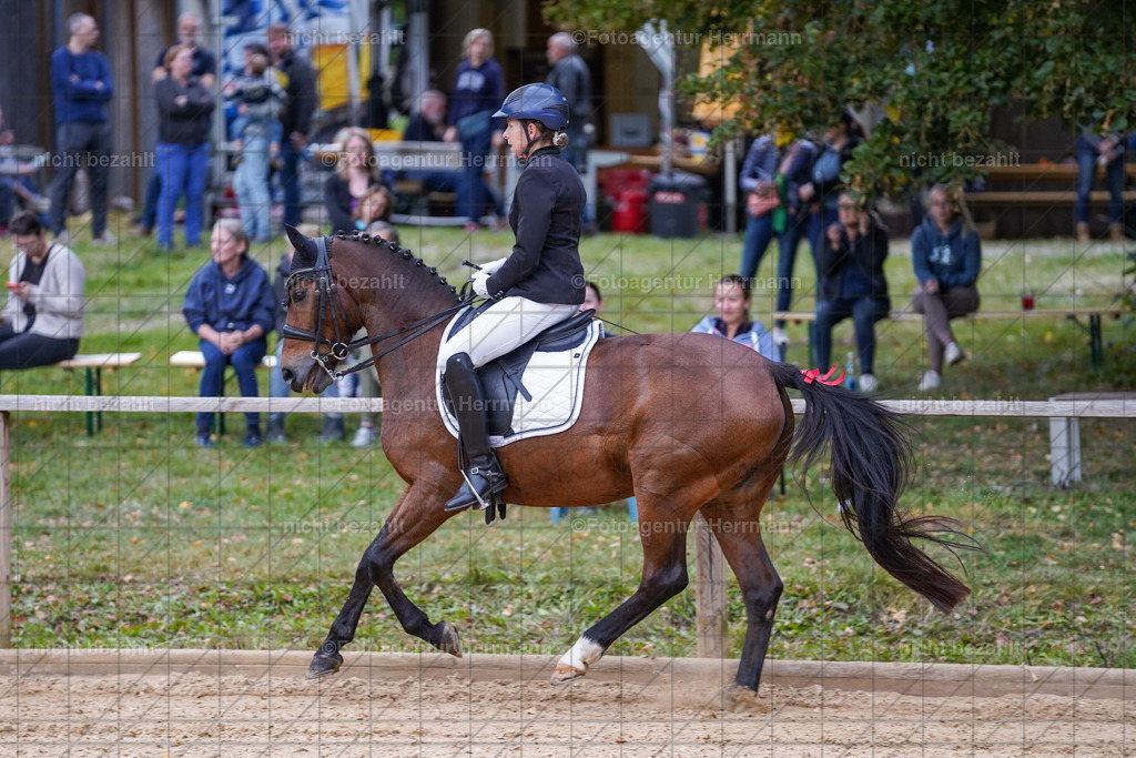 20231007-SN_00759 | Professionelle Turnier- und Reitsportfotografie - mit dem Finger am Auslöser. Pferdebilder aus dem Reitsport von den Turnierfotografen  Bayern , Pferdefotograf Bayern, Pferdeshooting Turnierbilder, Hochzeitsfotograf, Eventfotograf, Hochzeitsbilder