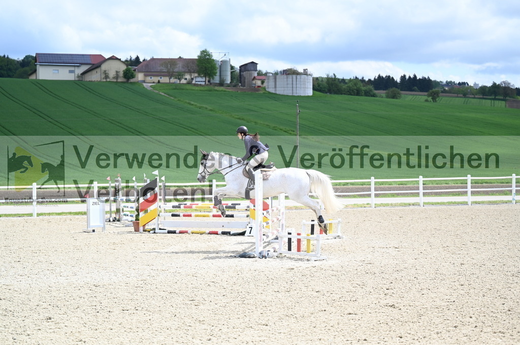 DSC_0730 | equestrian-live-com
