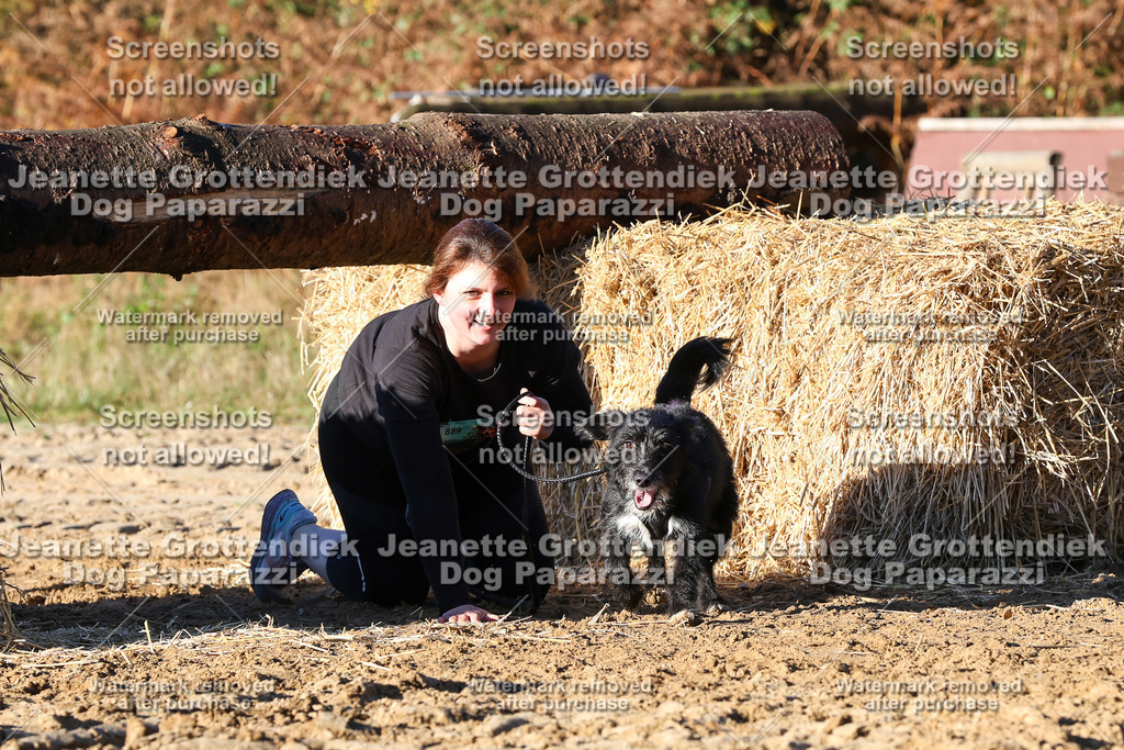 Dog Paparazzi - Strongdog 10-25-1335 | Dog Paparazzi Jeanette Grottendiek Fotografie & Videografie - Realisiert mit Pictrs.com