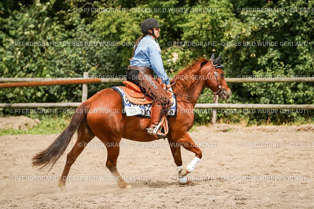 DSC00148 | Pferdegrafie