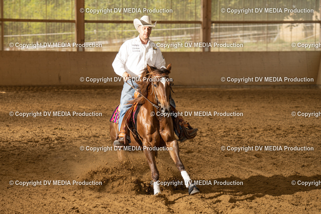 LAU01617 | dv-media-shop - Realisiert mit Pictrs.com