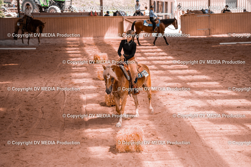 NE300357 | dv-media-shop - Realisiert mit Pictrs.com