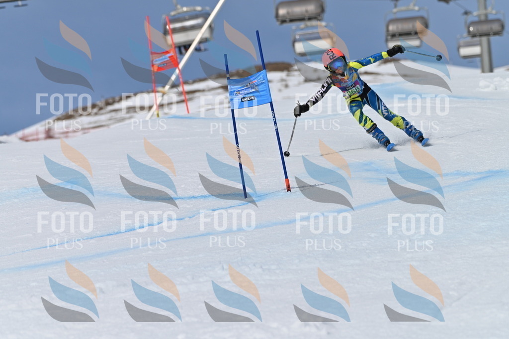 BGV_7281 | holidayphoto