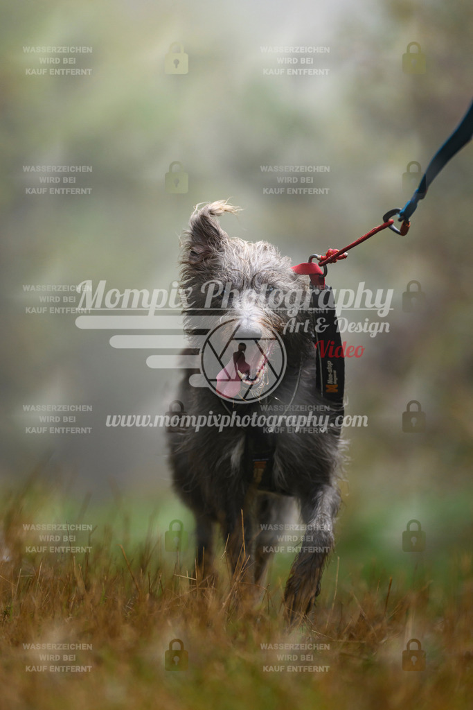 MompixPhotography_20TSB_E4_Bike-162 | PayLife