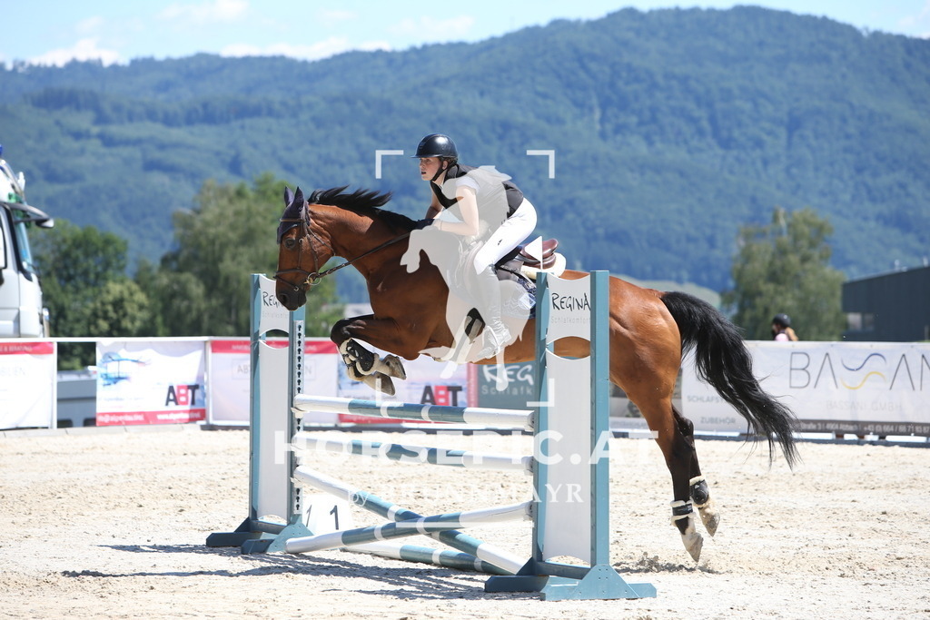 PP014952 | Willkommen bei Brunnmayr - Design & Fotografie – Ihrem Spezialisten für Reitturniere und Pferdeveranstaltungen in Oberösterreich, Salzburg und Bayern! Seit über 17 Jahren sind wir leidenschaftlich dabei.