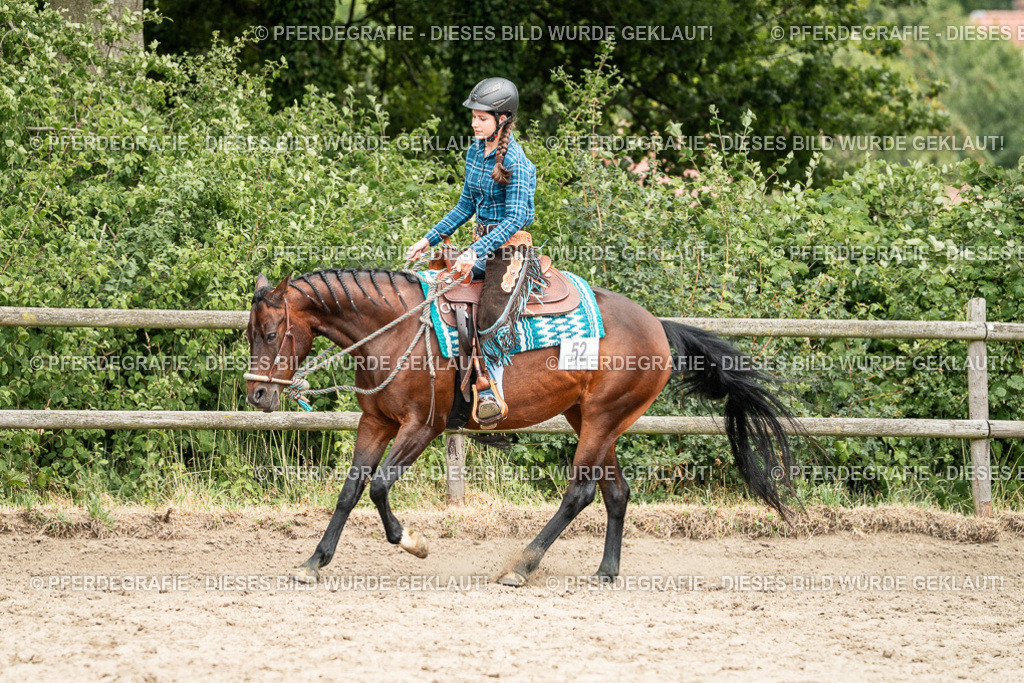 DSC01524 | Pferdegrafie