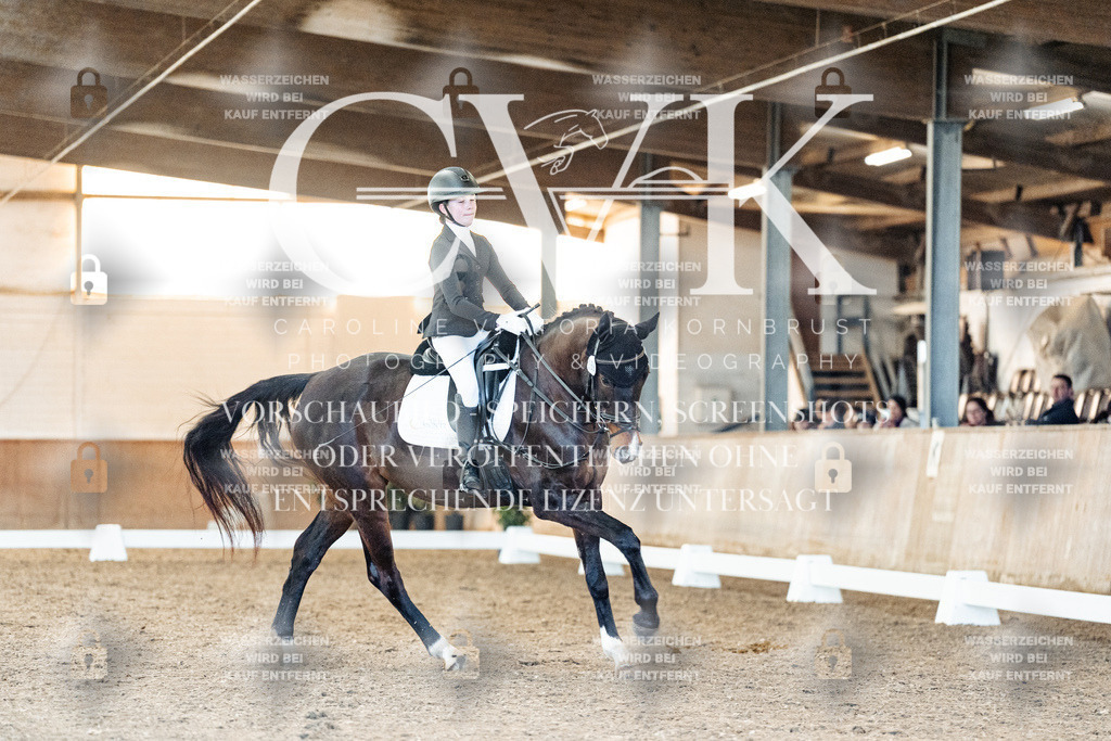 CK907192 | Turnierfotografie Pferdefotografie Trier Rheinland-Pfalz Pferdesport Reitsport Tierfotografie Sportfotografie Pferdevideo Pferdevideografie Equestrianvideography equestrianphotography  - Realisiert mit Pictrs.com