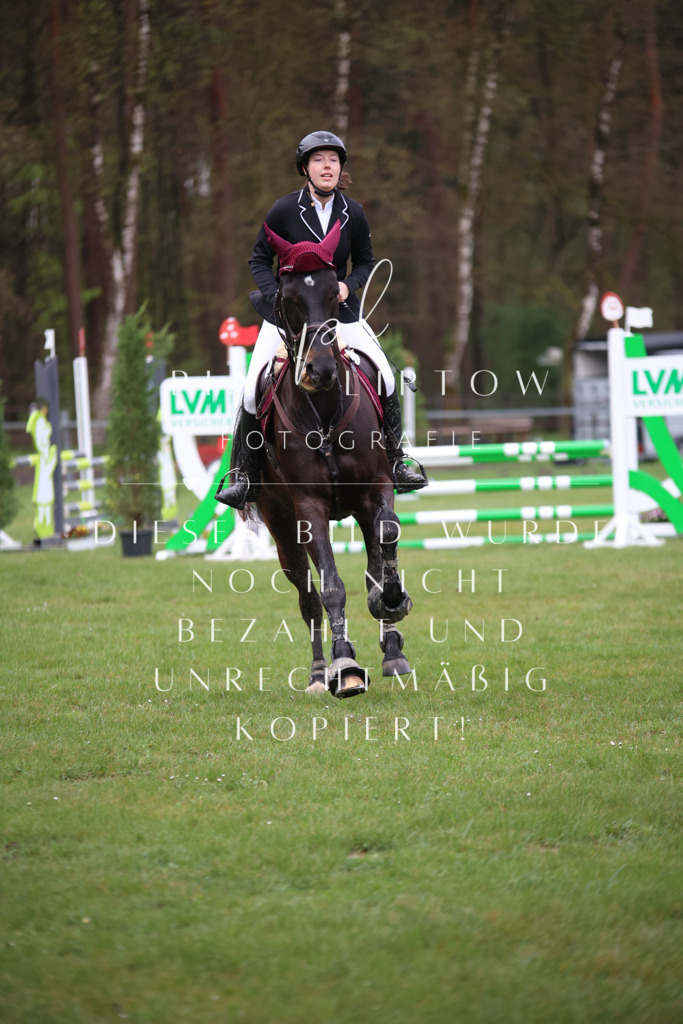 IMGT2641 | pl-fotografie