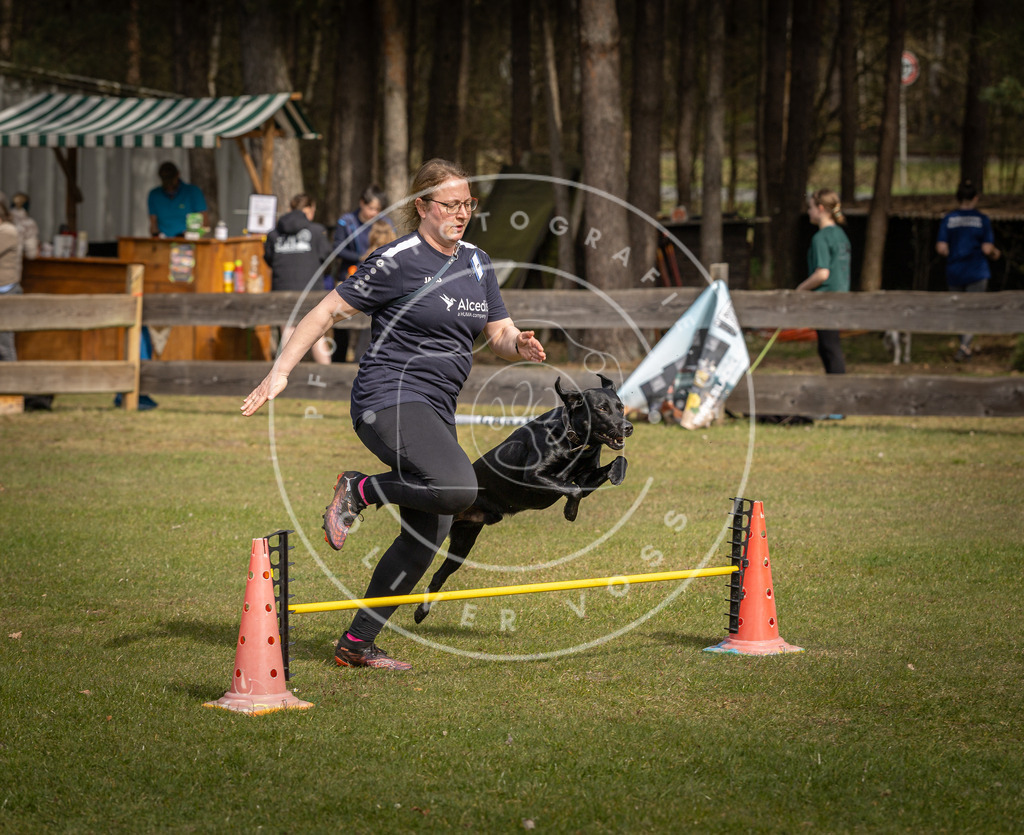 Pfotenfotografie_DV3A9381 | Hundefotografie, Tierfotograf, Pfotenfotografie, Fotoshooting Hund, Hunde Portrait, Hundesport, Hundeportraits, Heideshooting, Hunde, Sportfotograf, Hundefotograf, Turnierhundsport, THS,  - Realisiert mit Pictrs.com