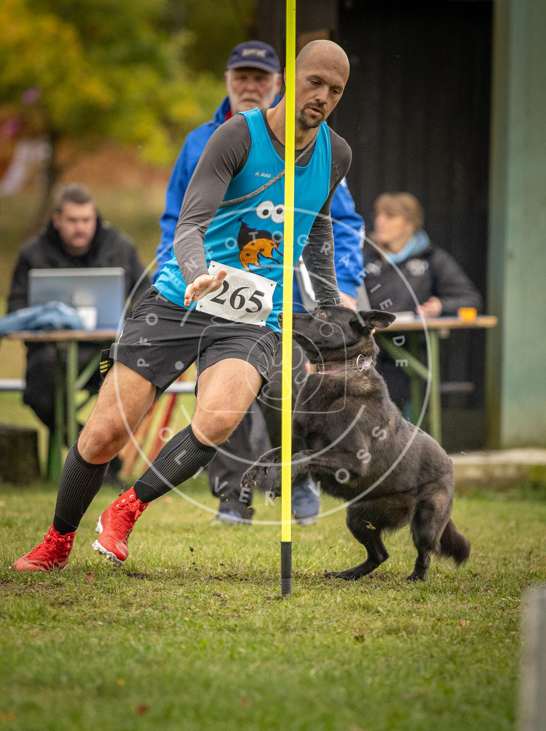 Pfotenfotografie_DV3A7019 | Hundefotografie, Tierfotograf, Pfotenfotografie, Fotoshooting Hund, Hunde Portrait, Hundesport, Hundeportraits, Heideshooting, Hunde, Sportfotograf, Hundefotograf, Turnierhundsport, THS,  - Realisiert mit Pictrs.com