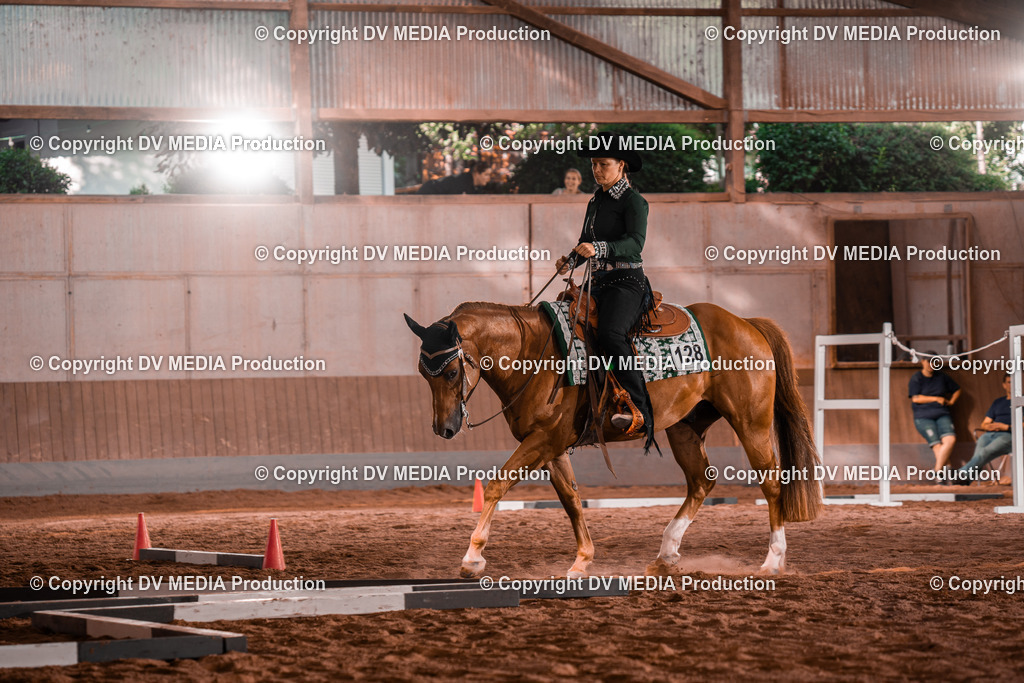 NE300166 | dv-media-shop - Realisiert mit Pictrs.com