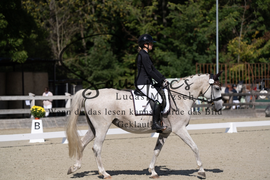 A7V07042 | Turnier/Reitfotograf